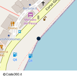 Posizione della concessione demaniale marittima Comune di Santa Margherita Ligure, A. 2019, N. 7