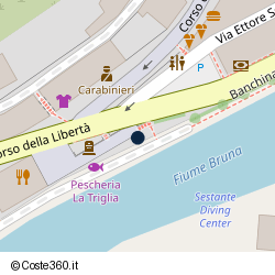 Posizione della concessione demaniale marittima Comune di Castiglione Della Pescaia, A. 2012, N. 2