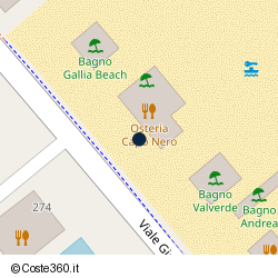 Posizione della concessione balneare Comune di Cesenatico, A. 2013, N. 43