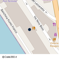 Posizione della concessione demaniale marittima Autorità Portuale di Mar Tirreno Centro Settentrionale, A. 2019, N. 63