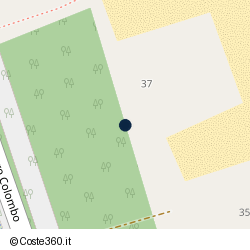 Posizione della concessione demaniale marittima Comune di Ravenna, A. 1996, N. 149