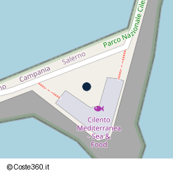 Posizione della concessione demaniale marittima Comune di Casal Velino, A. 2020, N. 42