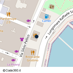 Posizione della concessione demaniale marittima Comune di Porto Cesareo, A. 2008, N. 31