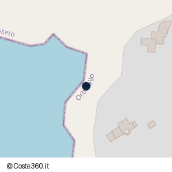 Posizione della concessione demaniale marittima Comune di Orbetello, A. 2009, N. 6