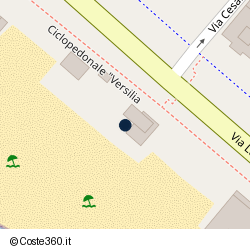 Posizione della concessione demaniale marittima Comune di Massa, A. 2009, N. 64