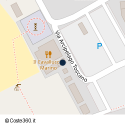 Posizione della concessione demaniale marittima Comune di Rosignano Marittimo, A. 2014, N. 343