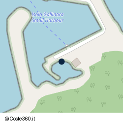 Posizione della concessione demaniale marittima Comune di Albenga, A. 2017, N. 1