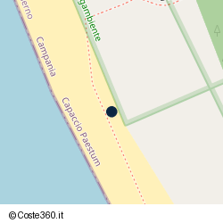 Posizione della concessione demaniale marittima Comune di Capaccio, A. 2019, N. 6