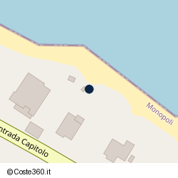 Posizione della concessione demaniale marittima Comune di Monopoli, A. 2020, N. 10