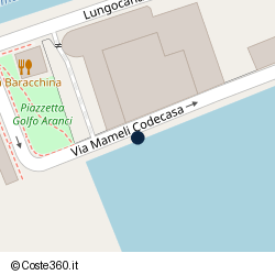 Posizione della concessione demaniale marittima Autorità Portuale di Regione Toscana, A. 2019, N. 31