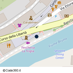 Posizione della concessione demaniale marittima Comune di Castiglione Della Pescaia, A. 2012, N. 1