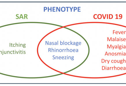 Allergic Rhinitis Algorithm