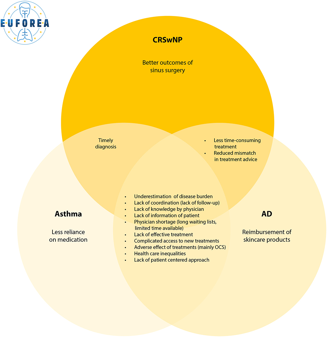 White Paper on European Patient Needs and Suggestions on Chronic Type 2 Inflammation of Airways and Skin by EUFOREA