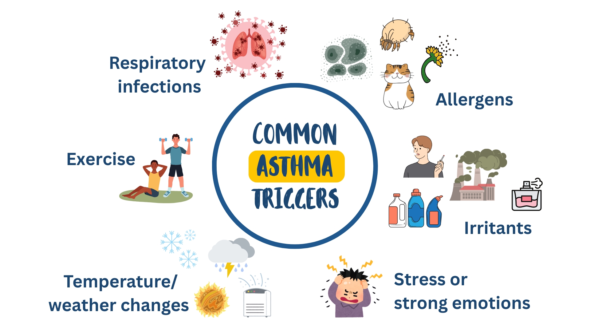 Triggers of asthma