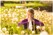 Allergens as a trigger for asthma
