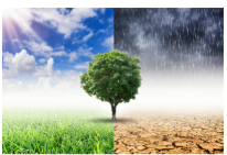 Weather changes as a trigger for asthma