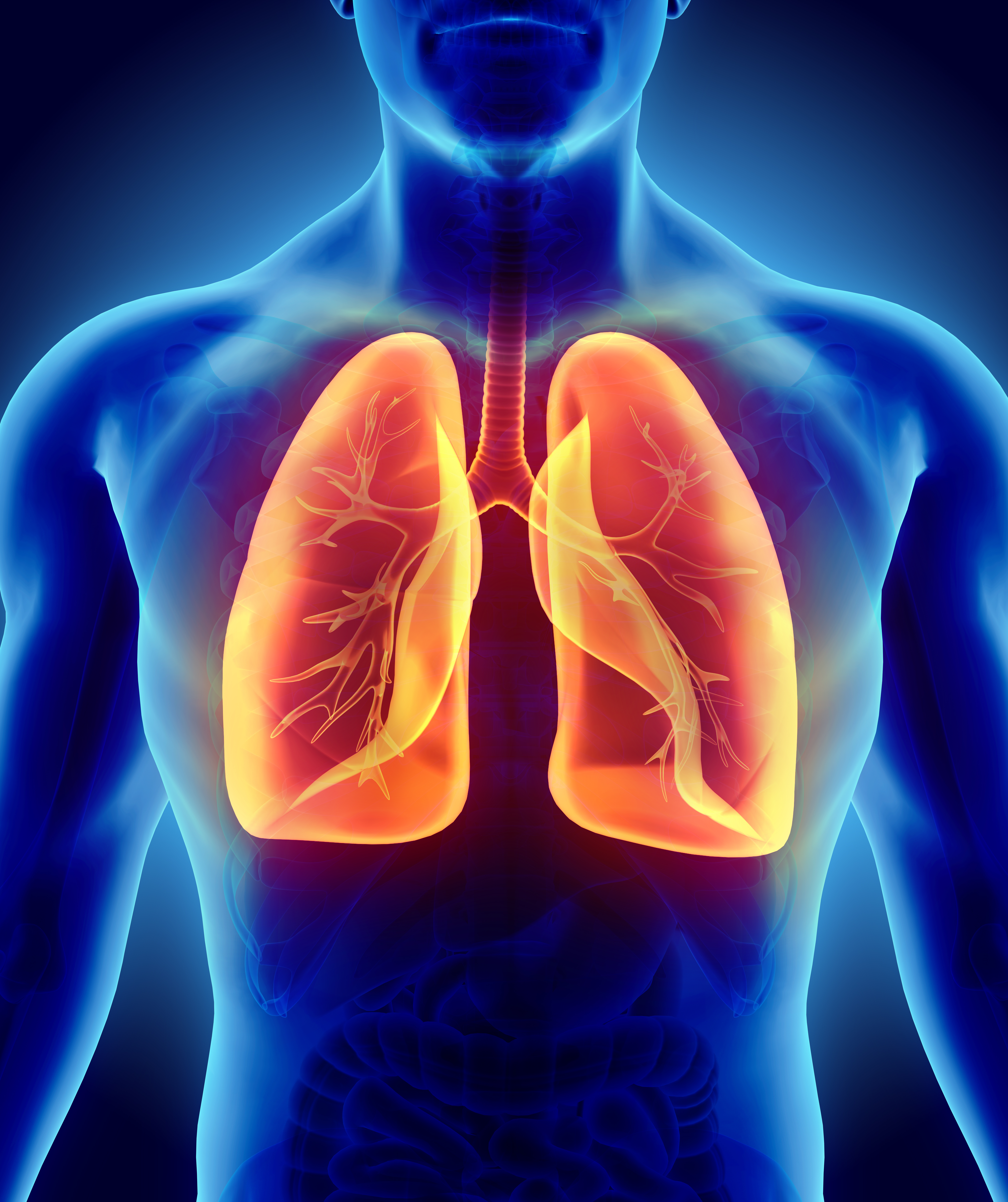About Asthma - airways