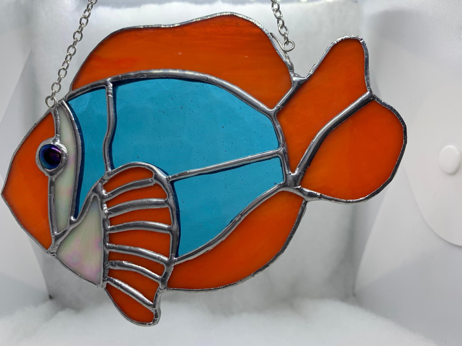 glasinlood nemo vis
