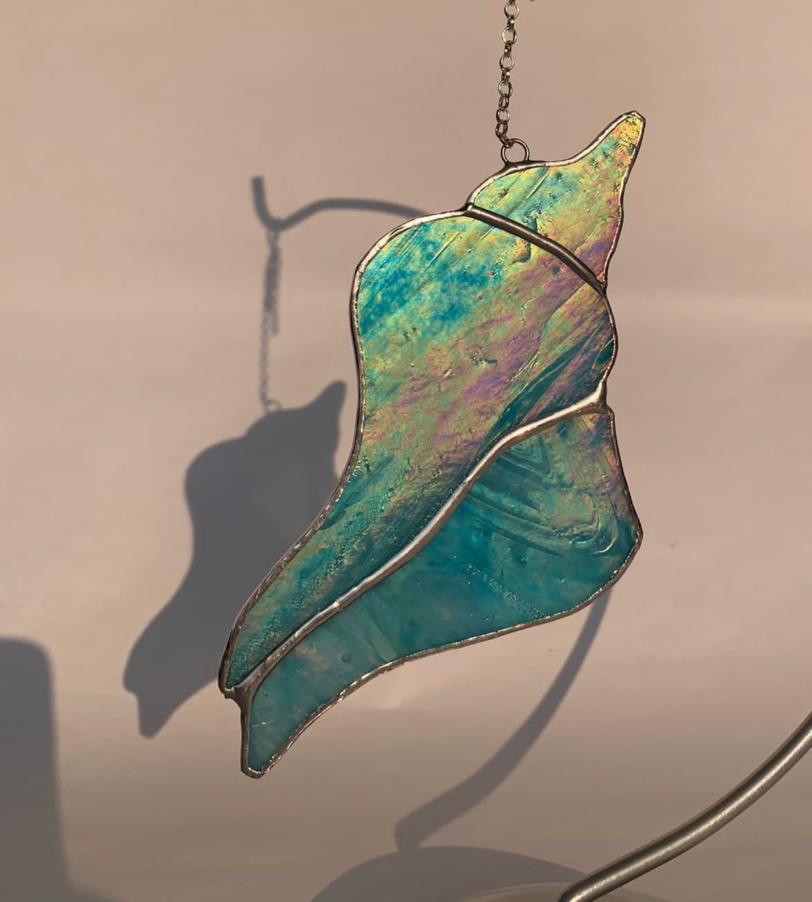 glasinloodkado stekelhorn schelp