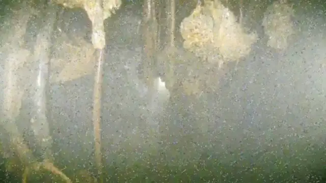 Images from inside the reactor show damage, but there are no answers