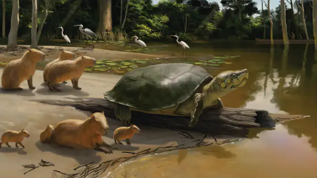 There is a giant turtle fossil named after Stephen King character