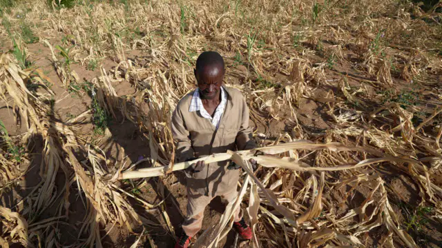 The UN says that women and girls are the first to suffer when there is a shortage of food in poor and rural areas