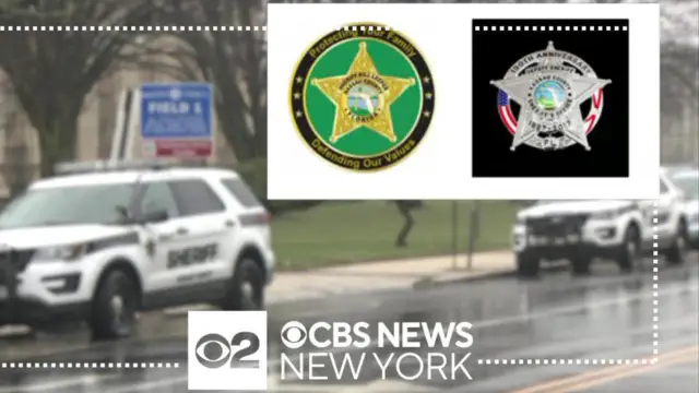 citizens with gun licenses will be deputized to help police in emergencies