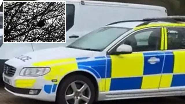 UK police officers are mimicked by a bird in a video