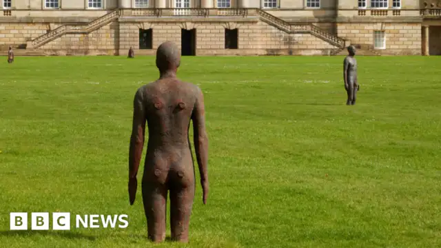 The grounds of a Norfolk stately home were taken over by Antony Gormley's iron men