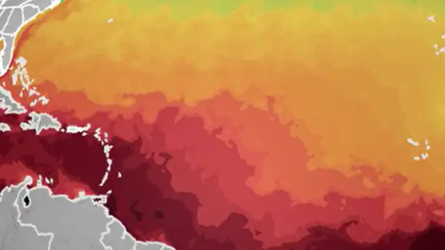 As Saharan dust settles in over basin, Atlantic Ocean's record warmth finally breaks