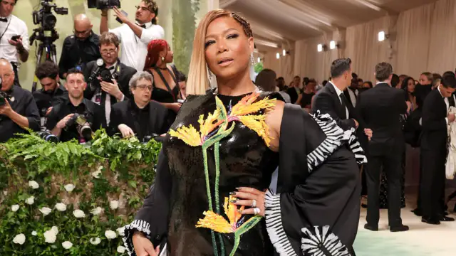 Queen Latifah stuns in bird of paradise dress at 2024 Met Gala