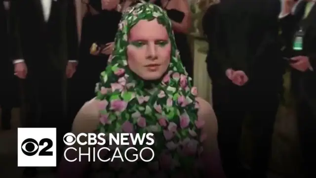 The most hilarious memes from the 2024 Met Gala