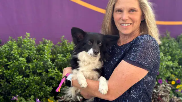Mixed-breed dog Nimble wins agility competition at Westminster Dog Show