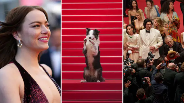 There is an ugly spat on the red carpet