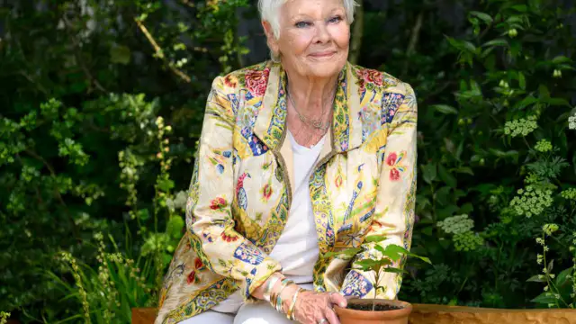 Dame Judi Dench hints at retirement from big screen due to health concerns