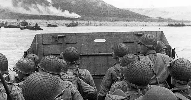 Photographs of D-Day events and rescued bears featured in The Guardian