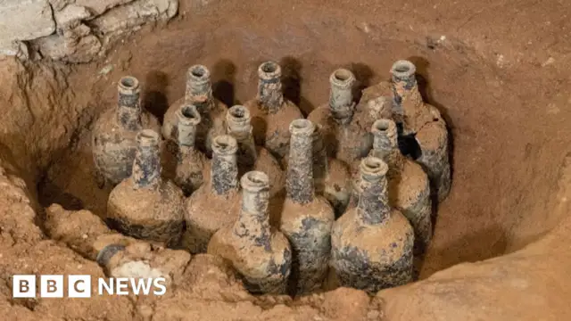 Ancient fruit preserves discovered in George Washington's Mount Vernon estate cellar