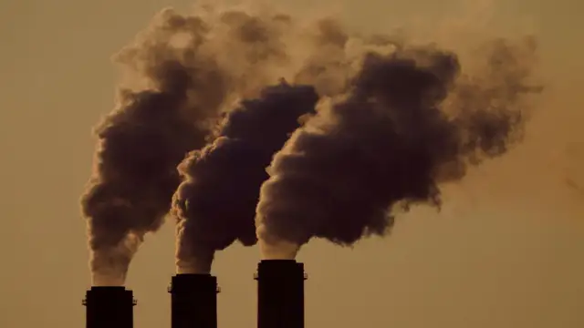 Air pollution negatively impacts IVF success rates