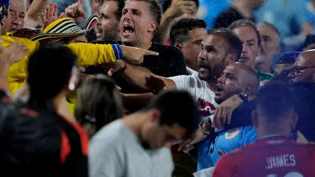 The ugly scenes raised questions about how the game descended into chaos