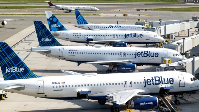 Airbus halts flights as 6,000 planes face software updates