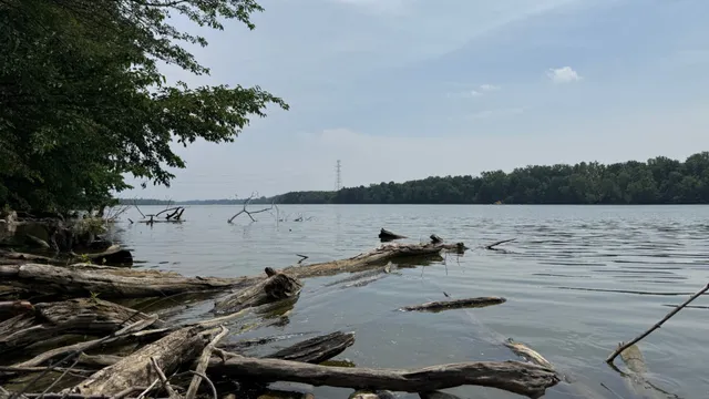 Five lives lost while rescuing swimmer in Ohio river