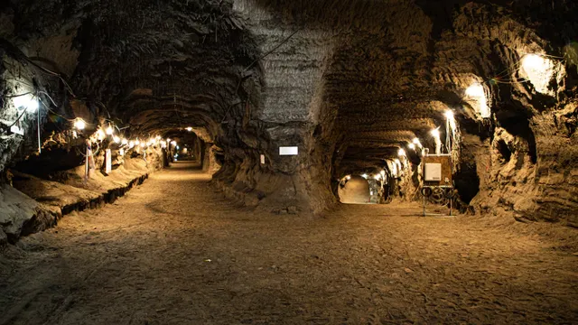 New microbes discovered in ancient Alaskan permafrost aid military technology