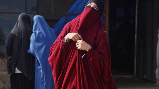 Women linked to ISIS demand amnesty amid Syrian government changes