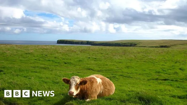 Connectivity restored for Singtel customers after disruptions