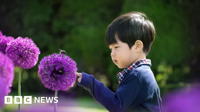 Nature corridor project aims to restore biodiversity in London