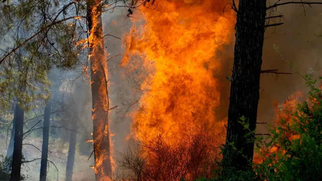 Climate change doubles wildfire risk in southern Europe