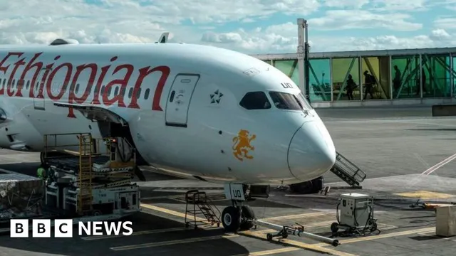 Ethiopian Airlines halts flights to Tigray amid conflict fears