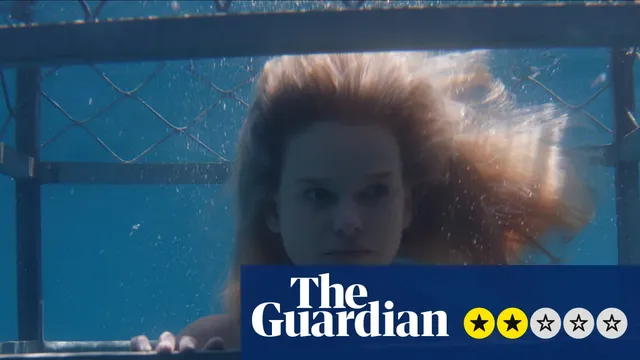 Wedding guests face shark attack during cruise disaster
