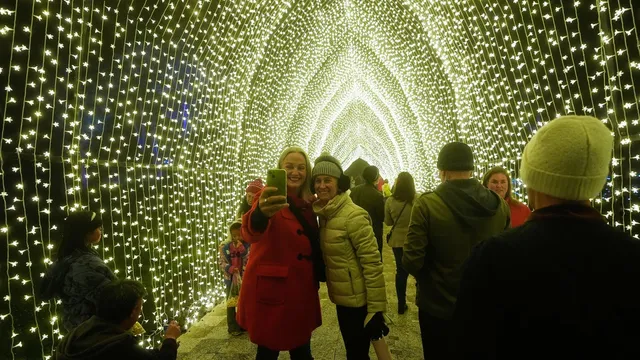 Golden Gate Park dazzles with over a million holiday lights attracting crowds