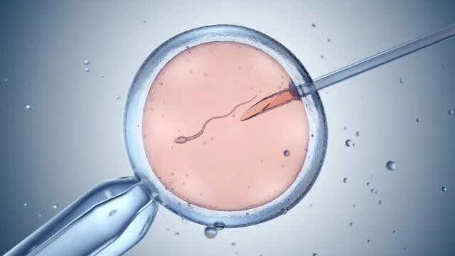 U.S. scientists edit human embryos, raising ethical concerns